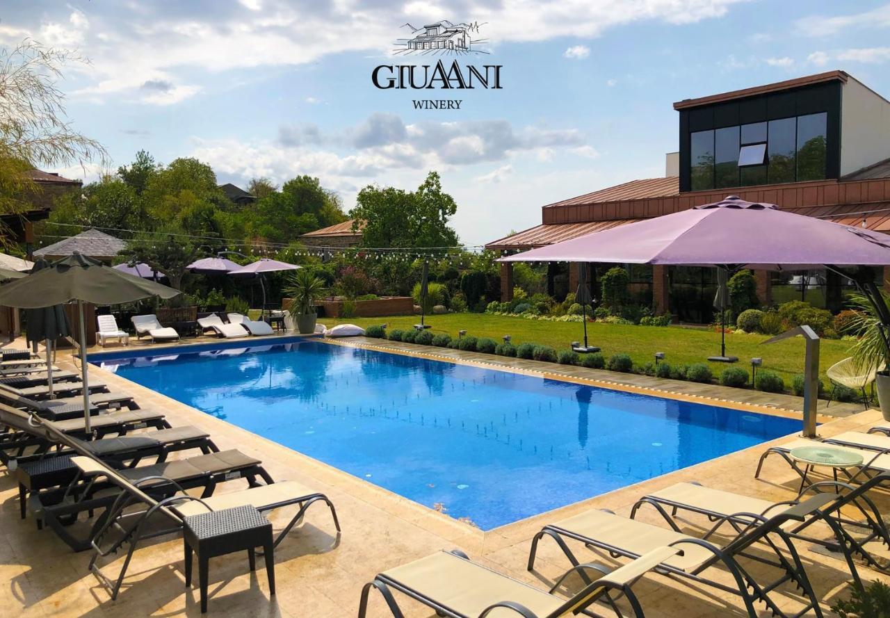 Giuaani Winery Hotell Manavi Exteriör bild